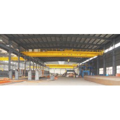 電動(dòng)雙梁吊鉤橋式起重機(jī)