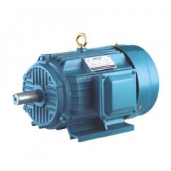 Y2系列三相異步電動(dòng)機(jī)