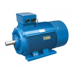 Y3 系列三相異步電動(dòng)機(jī)