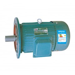 Y系列三相異步電動(dòng)機(jī)