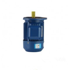 YE2系列電機(jī)-YE2100L2-4、3立式