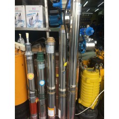 店內(nèi)展示 (1)