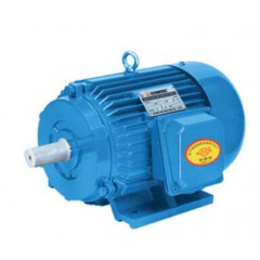 Y三相異步電動機(jī)