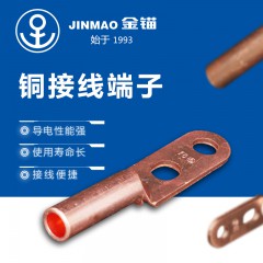 銅接線端子雙孔DT