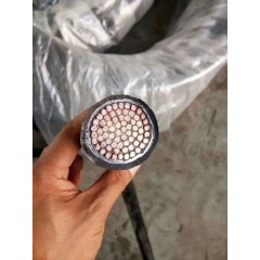 店內(nèi)展示