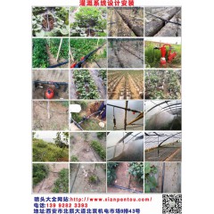 大棚灌溉系統(tǒng)