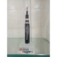 店內(nèi)展示6