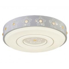 視貝 佳妍-圓 ML102-30W-Y