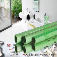 聯(lián)塑ppr水管家裝綠色