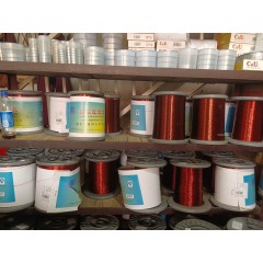 店內(nèi)展示 (1)