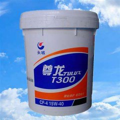 長(zhǎng)城t300尊龍王