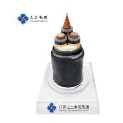 上上電纜 YJV 22 2*2.5國標(biāo)交聯(lián)聚乙烯絕緣低壓銅芯電力電纜