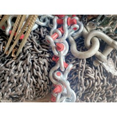 店內(nèi)展示 (3)