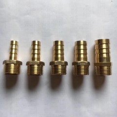 店內(nèi)展示 (1)