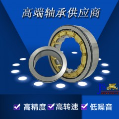 天馬TMB軸承 N1008M N1010M N1014M N204EM N205EM 精密精品