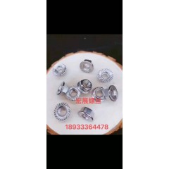 店內(nèi)展示 (5)