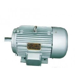 耐用y系列電動機