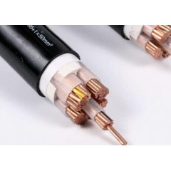 特種電線(xiàn)電纜