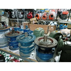 店內(nèi)展示 (5)