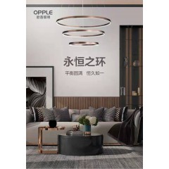 店內(nèi)展示 (4)
