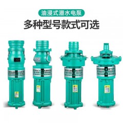 潛水泵 (2)