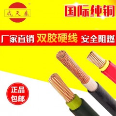 成天泰電纜