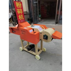 店內(nèi)展示 (6)