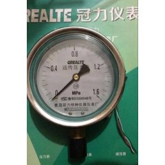 青島冠力 YTNZ100耐震遠傳壓力表