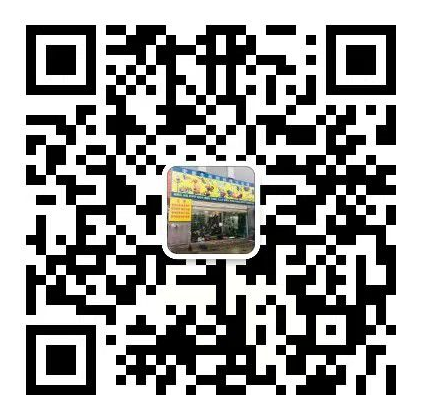 QQ截圖20220902170307