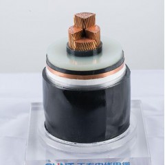 正泰 額定電壓110kV、220kV交聯(lián)聚乙烯絕緣電力電纜