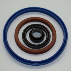 國標tc內(nèi)骨架油封