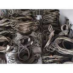 店內(nèi)展示 (1)