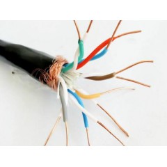 廣東力纜 屏蔽控制電纜KVVP