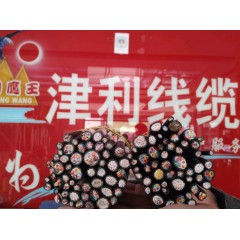 軟芯屏蔽控制電線電纜