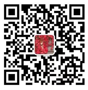 360截圖20240527012044673